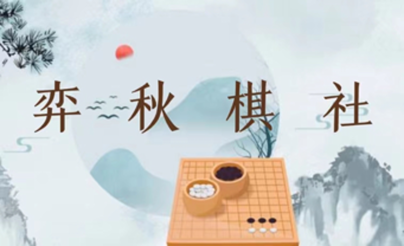 棋类比赛：智慧与竞技的交响曲