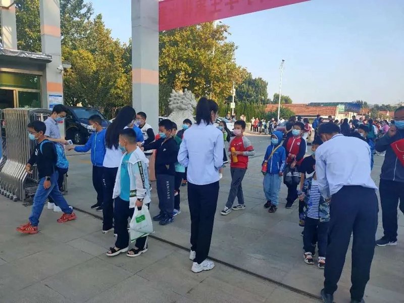 平度围棋：传承与创新的艺术之旅