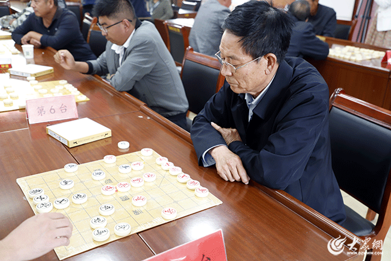 平度市棋类协会：传承与创新的魅力