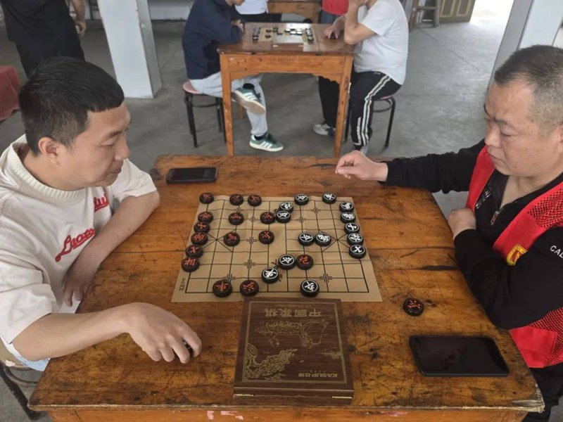 平度市棋类协会:推动地方文化普及的新引擎